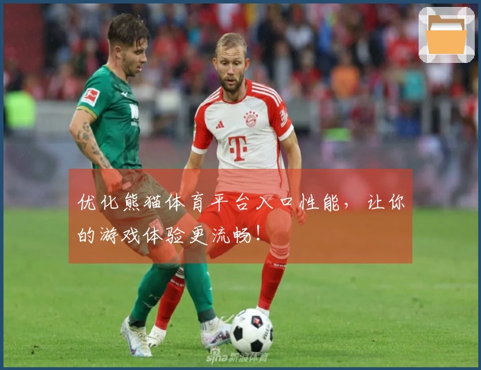 优化熊猫体育平台入口性能，让你的游戏体验更流畅！